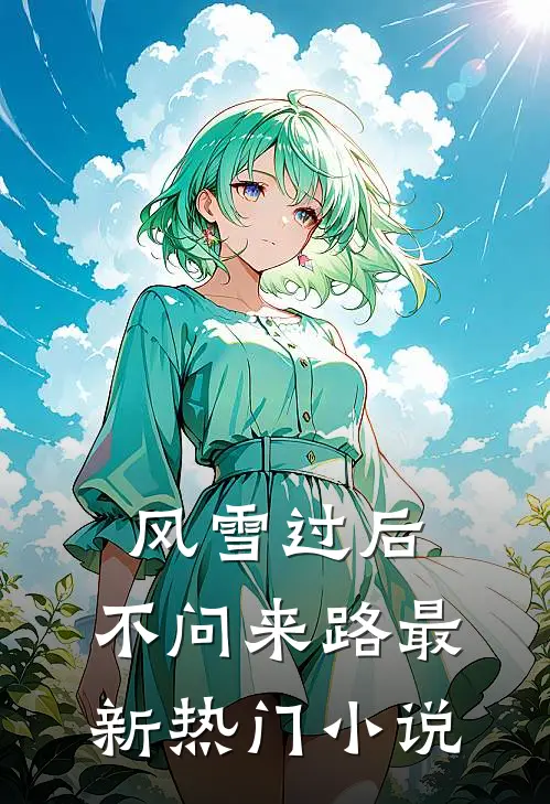风雪过后，不问来路最新热门小说
