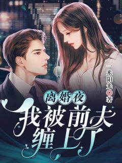 优质全文若如初遇免费阅读