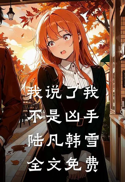 我说了我不是凶手陆凡韩雪全文免费