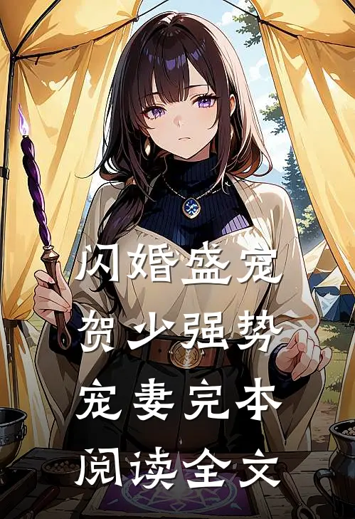 闪婚盛宠贺少强势宠妻完本阅读全文