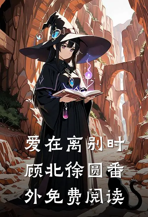 爱在离别时顾北徐圆 番外免费阅读