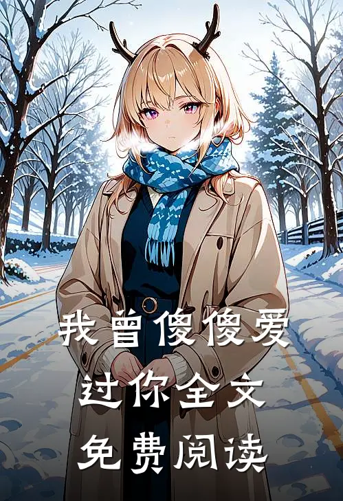我曾傻傻爱过你全文免费阅读