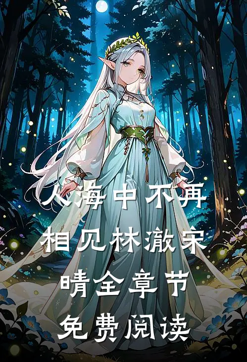 人海中不再相见林澈宋晴全章节免费阅读