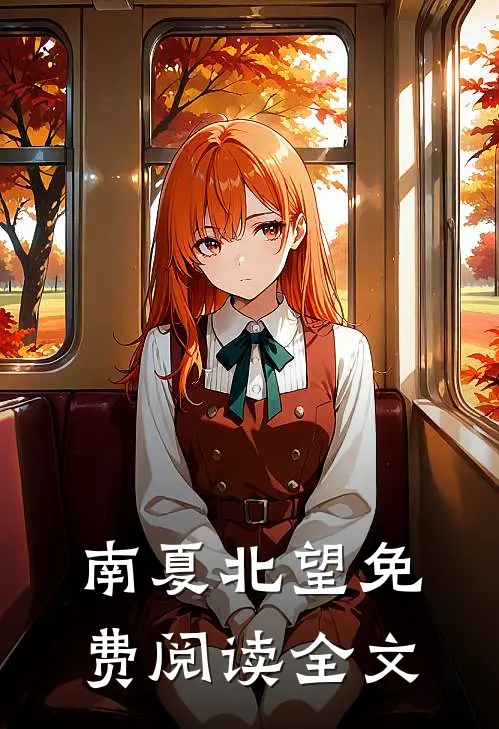 南夏北望免费阅读全文