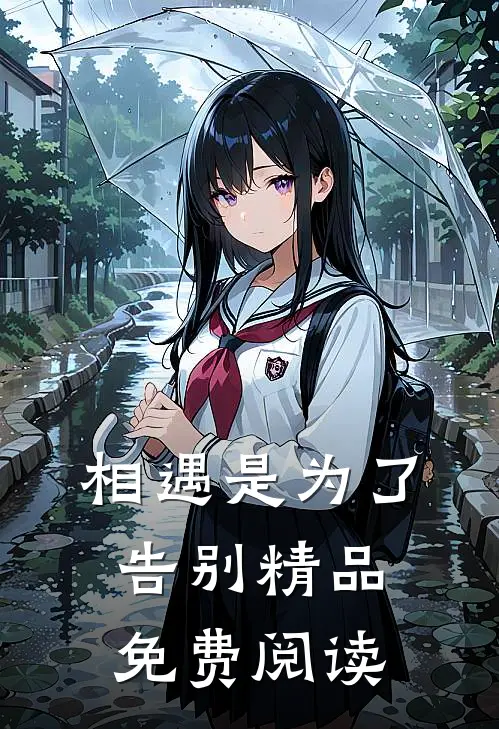相遇是为了告别精品免费阅读