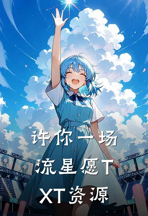许你一场流星愿TXT资源