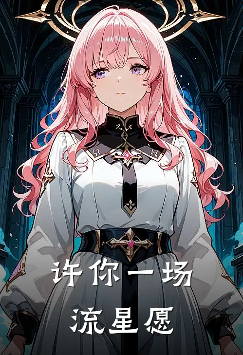 许你一场流星愿