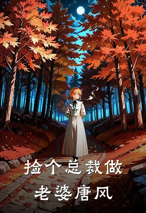 捡个总裁做老婆唐风