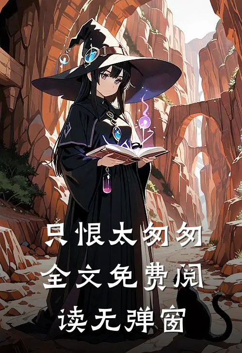只恨太匆匆全文免费阅读无弹窗