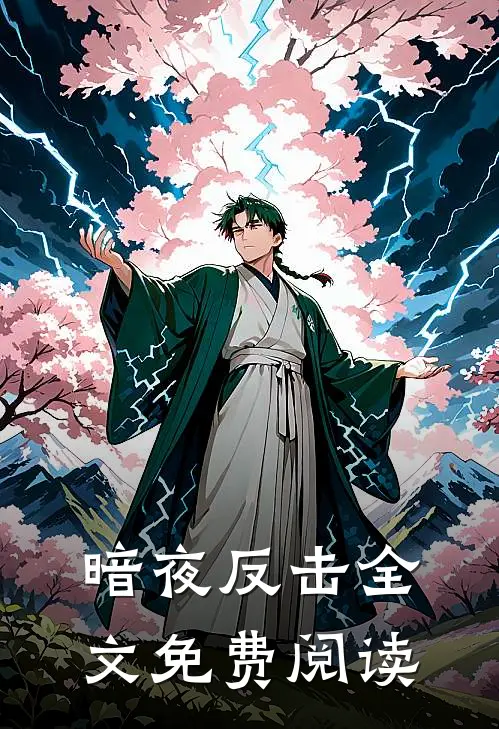 暗夜反击全文免费阅读