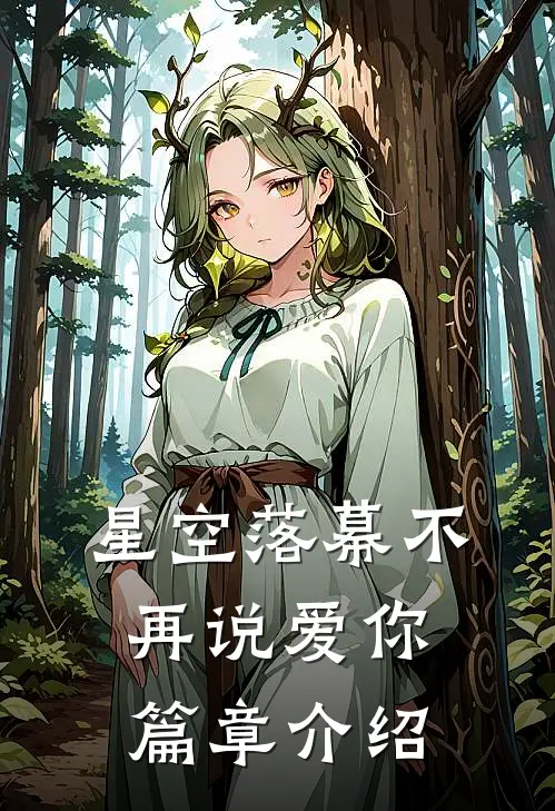 星空落幕不再说爱你篇章介绍