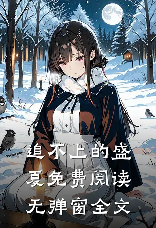 追不上的盛夏免费阅读无弹窗全文