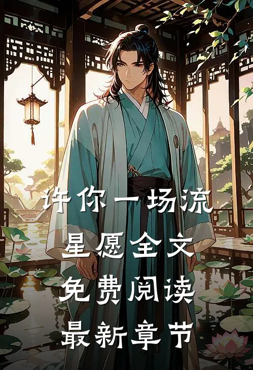 许你一场流星愿全文免费阅读最新章节
