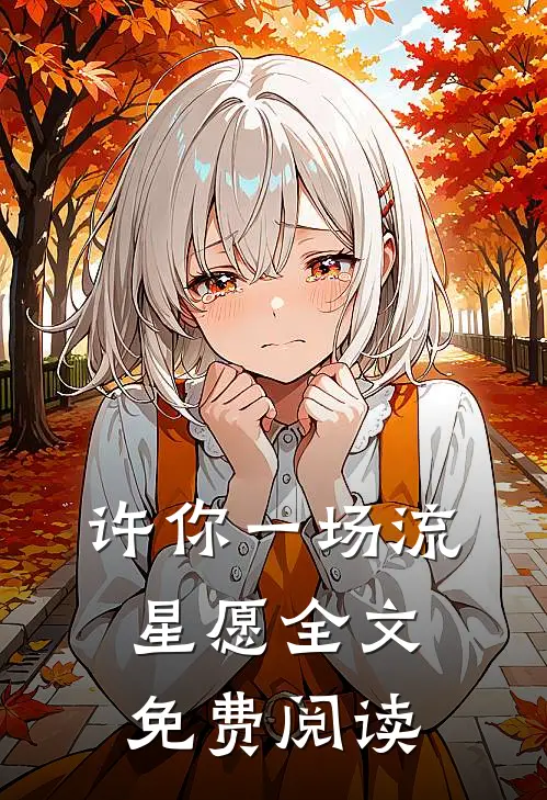 许你一场流星愿全文免费阅读