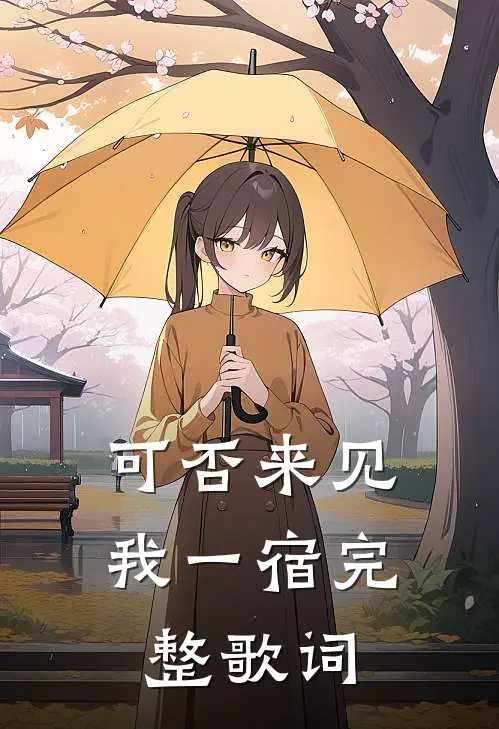 可否来见我一宿完整歌词