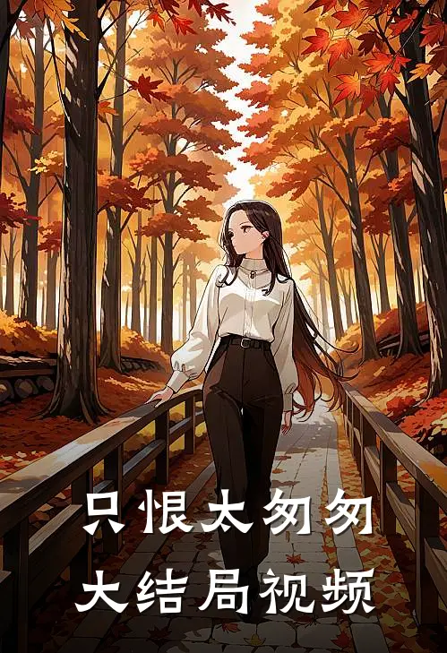 只恨太匆匆大结局视频