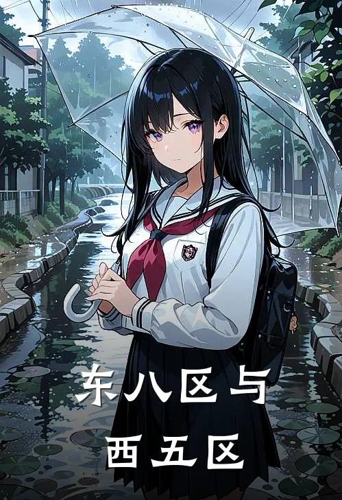 东八区与西五区的区别