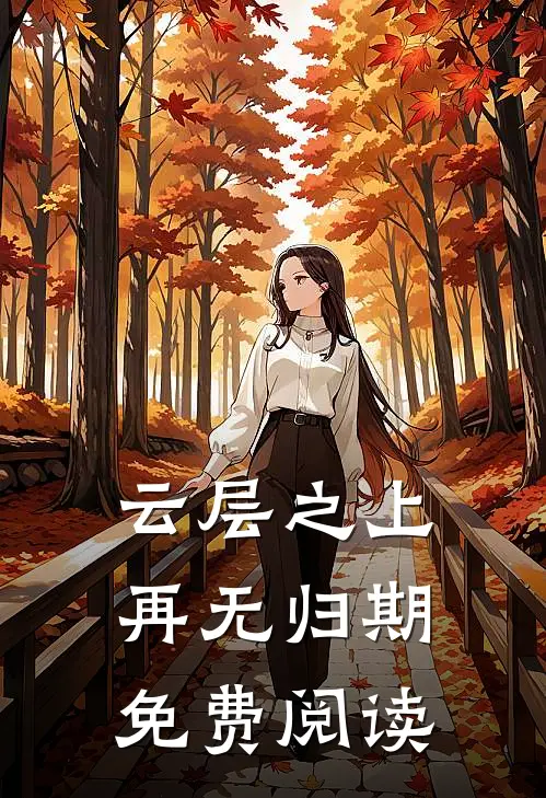 云层之上，再无归期免费阅读