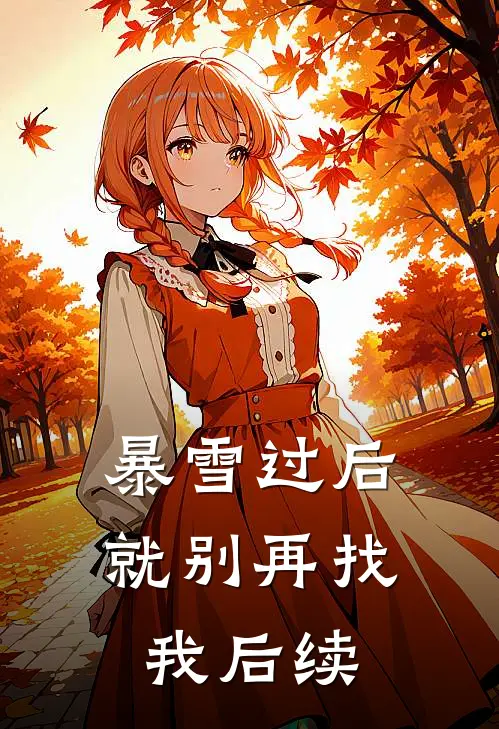 暴雪过后，就别再找我后续