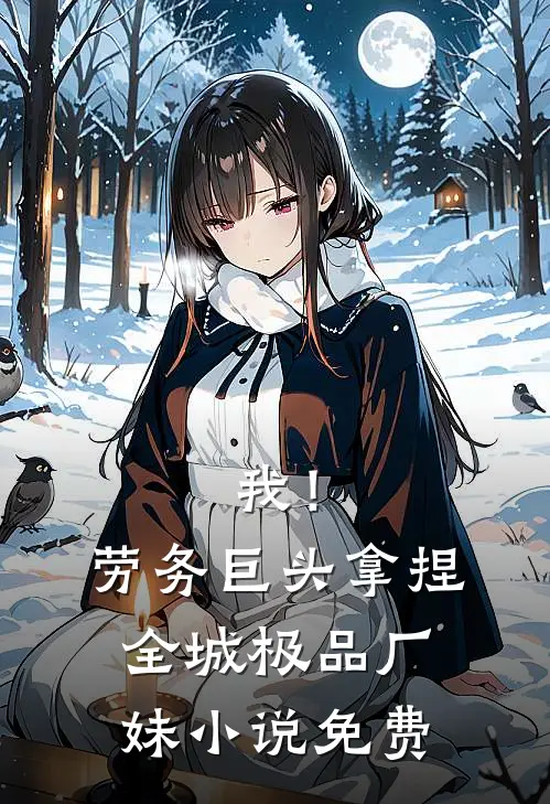 我！劳务巨头，拿捏全城极品厂妹小说免费