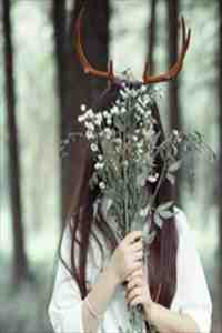 从今跨过眼泪海列表