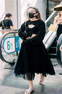 晚星陨落再无夏小说全文免费