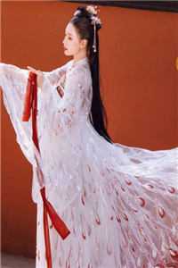 此后风雨不相逢无错版