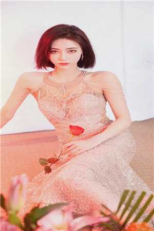 岁月彼岸，仍有春风优质全文阅读