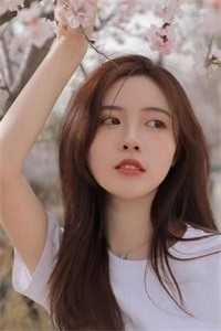 此后风雨不相逢陆辞安楚妍结局+番外