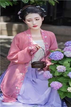 此生执剑，未敢退却最新