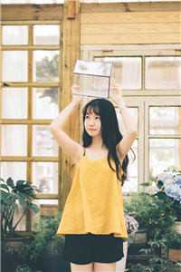 智者不入爱河火爆小说