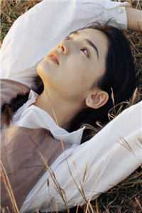 极光漫过永夜处在线阅读