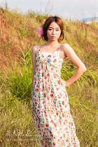 霜风拂过青玉案全本