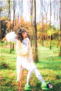 智者不入爱河后续+无弹窗