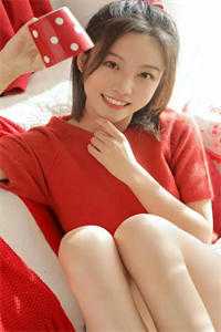 一夜风吹絮全新