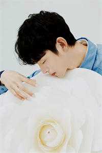 女儿死后，我发现了女婿的秘密全球完整文集