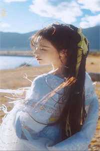 八年情深不及狗畅销巨著