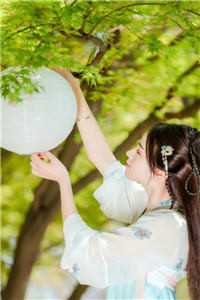 孤雁不渡万重山完结文