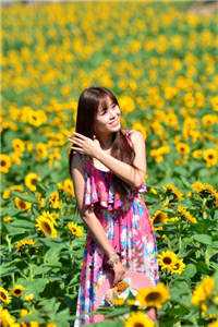 青瓦檐下旧梦残无删减版