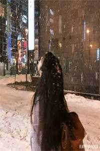 陪她看尽维港夜优质全文阅读