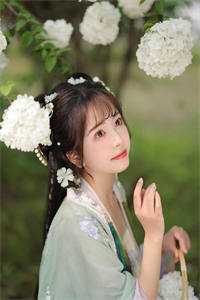 高原上，他说我是命中注定在线阅读全本阅读