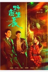 一拖二？苟住，我们能赢畅读