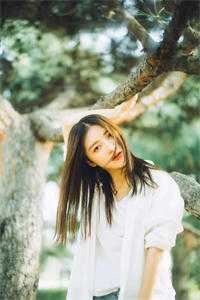 我摘星辰缀她衣徐清窈裴司鹤全局