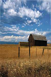 奶娘轻轻一勾手，公府少爷馋成狗在线阅读