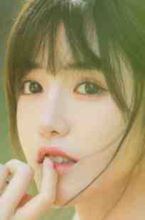 落花已逐回风去高质量好文