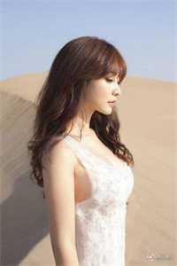 爱已随夕阳落幕的小说