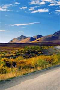 灯火已歇，爱恨长绝全文+后续