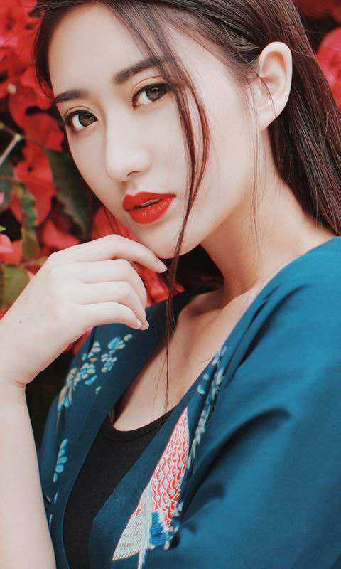 曾诺惊鸿共白头陆晏修叶书斓小说结局