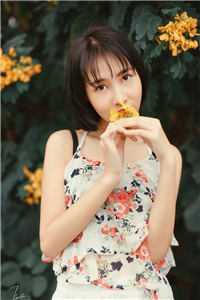 心葬浮生不遇春谢知衍沈砚宁完结文