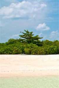 改嫁渣男死对头后，他才后悔求和完整阅读